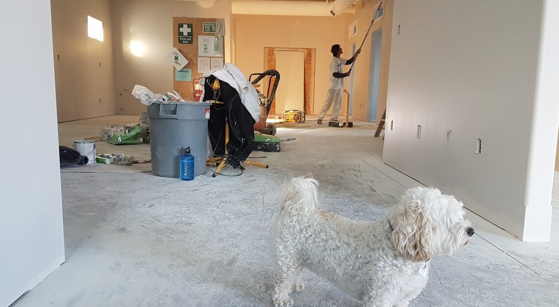 confiez la r&eacute;novation de votre maison &agrave; un expert qualifi&eacute;. services sur mesure, conseils personnalis&eacute;s et travaux de qualit&eacute; pour transformer votre habitat en toute s&eacute;r&eacute;nit&eacute;.